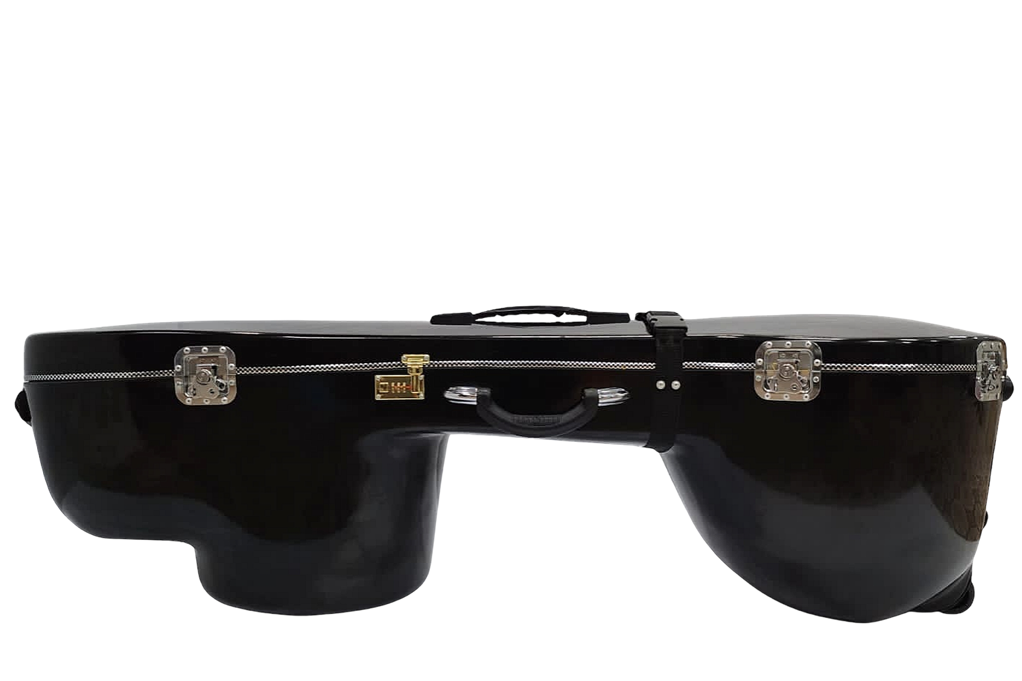 Veena cases